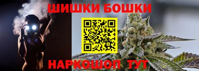 прущие грибы Бердск