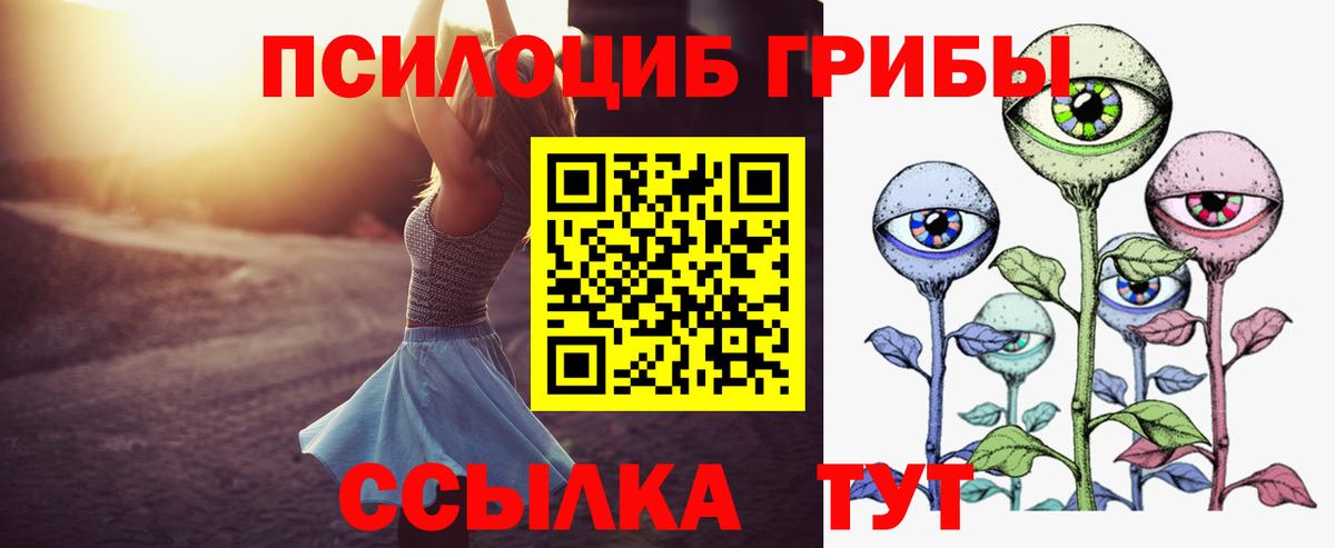 Псилоцибиновые грибы Psilocybine cubensis Волжск